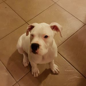 Meet your Posher, Freddie